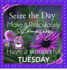 a seize the day make it ridiculously amazing have a wonderful tuesday card