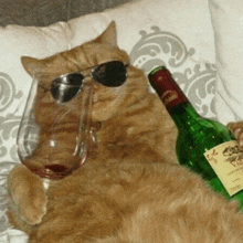 a cat is wearing sunglasses and holding a glass of wine next to a bottle of wine