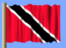 a red flag with a black and white stripe