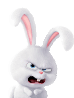 a white rabbit with pink ears looks angry