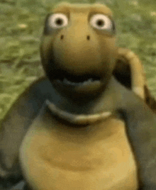 a close up of a cartoon turtle with a surprised look on his face .