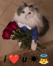 a cat is holding a bouquet of red roses with the words i love you written below it