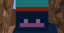 a minecraft character with a blue hat and a purple nose