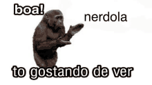 a monkey is standing in front of a white background with the words `` boa ! nerdala to gostando de ver '' .