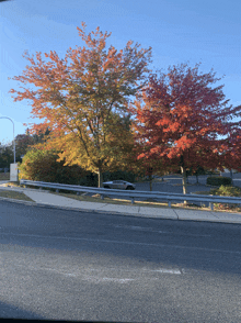 a car is parked on the side of the road next to a tree with orange leaves