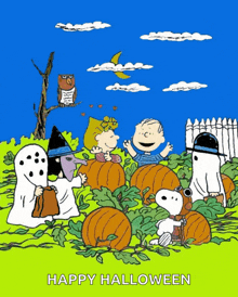 a cartoon of snoopy and friends in a pumpkin patch with the words happy halloween written below them