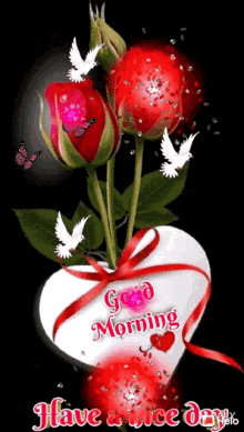 a bouquet of red roses in a heart shaped vase with the words good morning have a nice day written on it