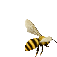 a yellow and black bee with a white wing is flying on a white background