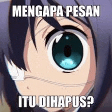 a close up of a anime girl 's eyes with a caption that says `` mengapa pesan itu dihapus ? ''