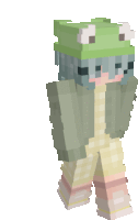 a minecraft character with a frog hat on