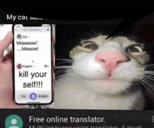 a picture of a cat next to a cell phone that says kill your self