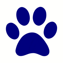 a blue paw print on a white background with circles around it