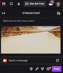 a screen shot of a stream chat room with a message being sent