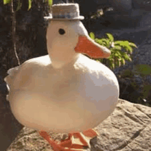 the duck is wearing a hat and standing on a rock .