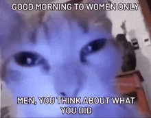 a cat says good morning to women only men , you think about what you did