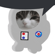 a drawing of a cat wearing a nasa sticker on its chest