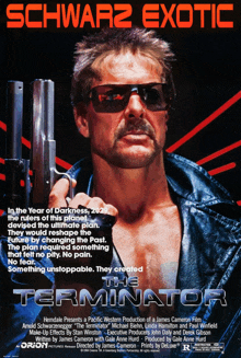 a poster for a movie called the terminator