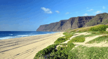 a beach with a cliff in the background and a blue sky