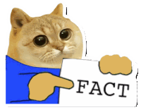 a cat is holding a piece of paper with the word fact on it