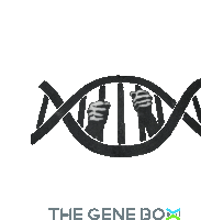 a black and white drawing of a dna molecule with hands behind bars and the words the gene box below it