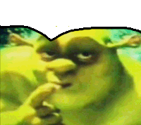 shrek from the movie shrek is looking at the camera