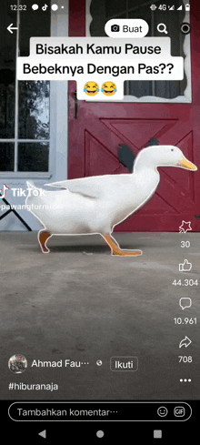 a screenshot of a tiktok video of a duck walking