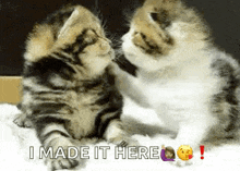 two kittens are playing with each other on a blanket and the caption says i made it here !