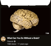 a picture of a human brain with a speech bubble that says what can you do without a brain