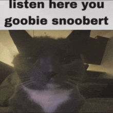 a picture of a cat with the words listen here you goobie snoopert above it