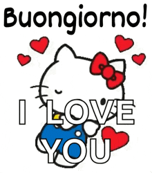 hello kitty is hugging a hello kitty doll and saying i love you in italian .