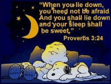 a cartoon of snoopy and charlie brown with a proverbs 3:24 quote