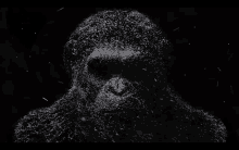 a black and white drawing of a monkey made up of tiny dots