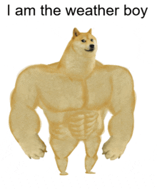 a picture of a doge with the words i am the weather boy below it