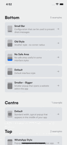 a screenshot of the bottom of an app showing options for customisation