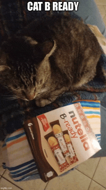 a cat laying next to a box of nutella bready