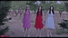 three women in dresses are standing in a field with trees in the background and the word potatoes on the bottom right