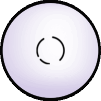 a white circle with a black outline and a black circle in the middle