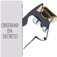 a cartoon dog wearing a graduation cap is behind a sign that says observar en secreto