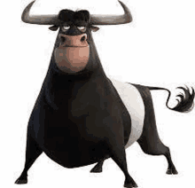 a black and white bull with horns is standing on a white surface .