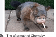 a picture of a squirrel dressed as a baby with the words the aftermath of chernobyl below it .