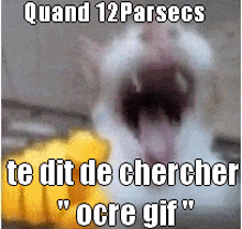 a picture of a cat with its mouth open and the words " quand 12 parsecs te dit de chercher "