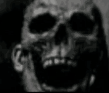 a black and white photo of a skull with its mouth open in a dark room .