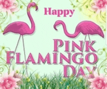 two pink flamingos are standing in the grass with the words happy pink flamingo day