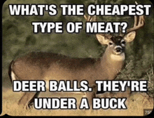 a picture of a deer with a joke about deer balls