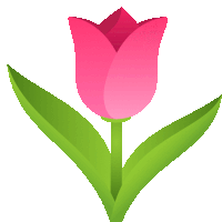 a pink flower with a green stem and leaves on a white background