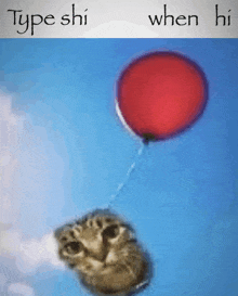 a picture of a cat holding a red balloon with the words type shi when hi