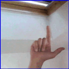 a person 's hand is making a l sign with their finger