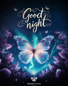 a poster that says " good night " with a butterfly on it