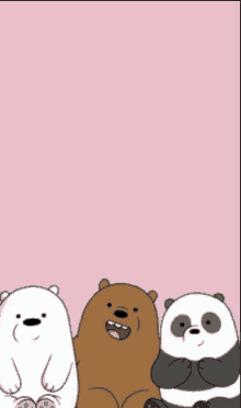 three bears , ice bear , grizzly bear and panda bear , are standing next to each other on a pink background .