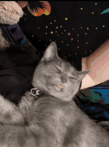 a gray cat with its tongue hanging out is sleeping on a person 's lap